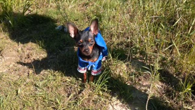 Река Ока, диня смотреть онлайн