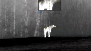 Iwt Demon. Pulsar Trail 2. Pulsar Helion 2. Тепловизионные приборы.