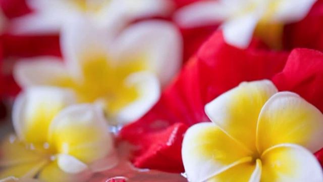 Фото и видео,остров Сайпан смотреть онлайн