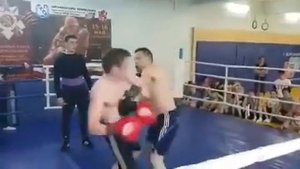 Бокс: Бой Ивана Грозного со старым Бегемотом