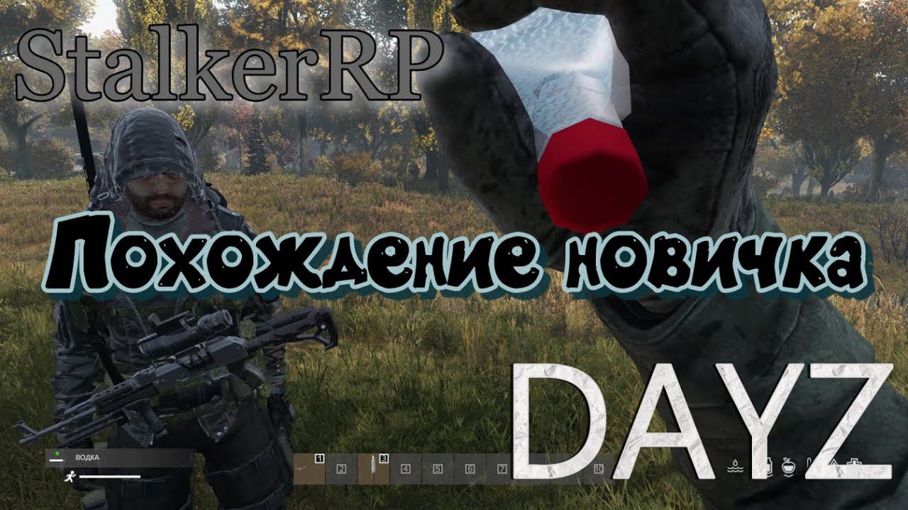 Похождение новичка DAYZ | STALKER RP. смотреть онлайн