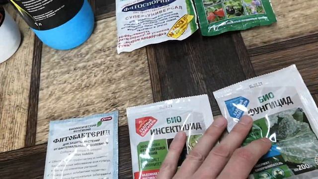 Биопрепараты для ситифермы клубники. Защита растений биопрепаратами. Триходерма. Фитоспорин.