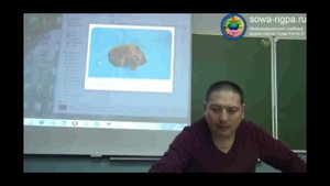 Камни и природные материалы. Фрагмент процесса обучения