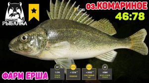 ФАРМ ДЛЯ НОВИЧКОВ НА ЕРШЕ В РР4 ГДЕ ПРОКАЧИВАТЬСЯ МЕЛКИМ УРОВНЯМ НА КОМАРЕ В РУССКОЙ РЫБАЛКЕ 4