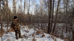 Загонная Охота на Косулю. Добыл Трофей!