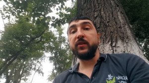 Чайная выставка в Шэнжене. Культура Китая. Гуанси.