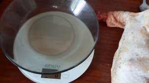 Порода ленинградская белая- петухи 3,5 месяца