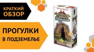 Прогулки в подземелье — краткий обзор настольной игры ?