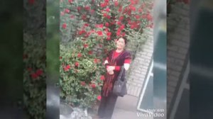 Жоодарбешим-"Гулум кайнене"