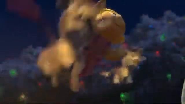 Donkeys Christmas Story смотреть онлайн