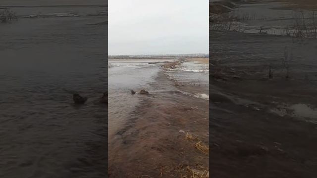 Паводок с. Солоновка Павловский район