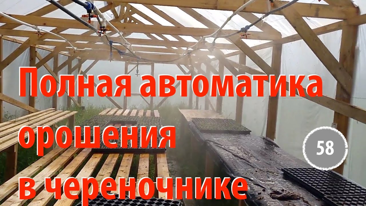 [58] Полная автоматизация орошения в череночнике