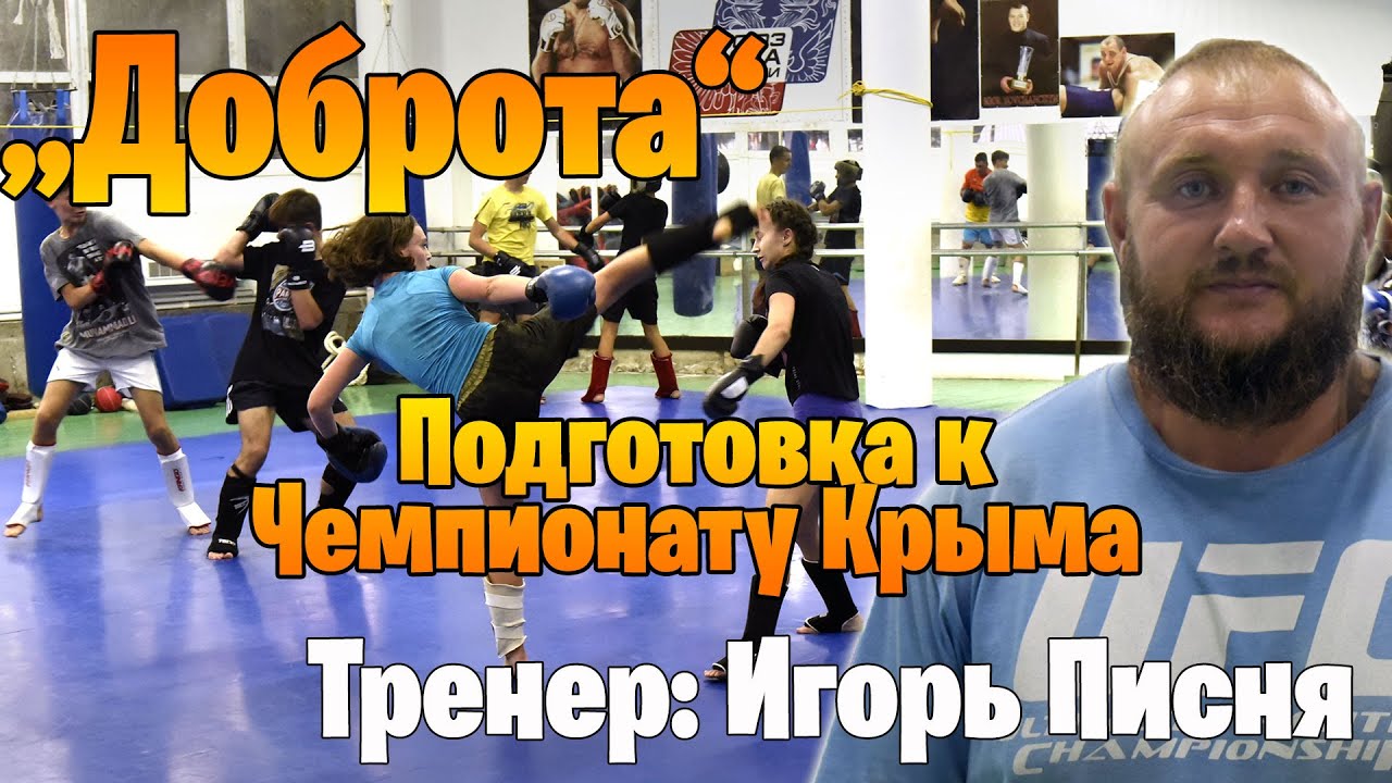 Тренировка в секции ММА "Доброта" в Судаке смотреть онлайн
