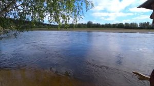 ЧУДО СНАСТЬ КОРАБЛИК! ЛОВИТ РЫБУ ДАЖЕ ЕСЛИ ЕЁ НЕТ. РЫБАЛКА НА МУШКИ / ЛОВЛЮ ХАРИУСА НА ТАЁЖНОЙ РЕЧК