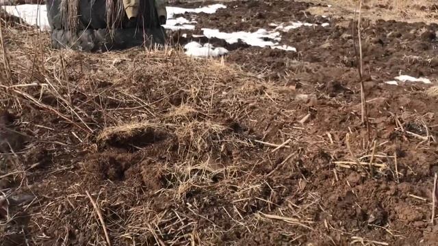 Восстановление старой дачи. Откопал металл #дача #дачныйучасток