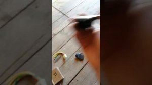 Honda cb400sf реле регулятора напряжения