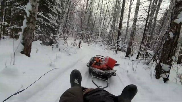 Стелс Капитан не едет что то сломалось, дорога в лес 12.01.2020 смотреть онлайн