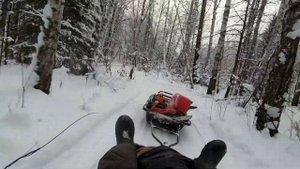 Стелс Капитан не едет что то сломалось, дорога в лес 12.01.2020