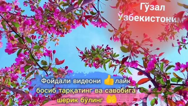 Ёдингизда бўлсин азиз Аёллар фарзандизга руза ва намоз,ўргатинг ва  ғусл қилишда этибор бериг,,,