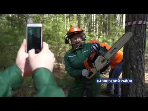 Профессию вальщика леса осваивают дамы-журналисты