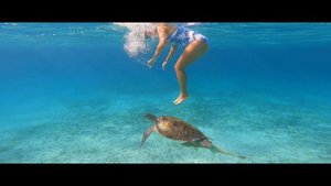 Мечта каждого… Отель Дрим Лагун/DREAM LAGOON MARSA ALAM 5*. Заплыв с черепахами.