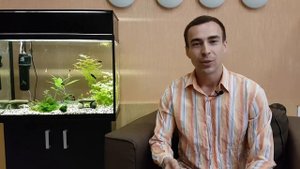 Как и с чего начать свой бизнес с нуля?