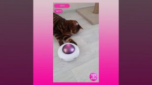 НЛО – отзывы