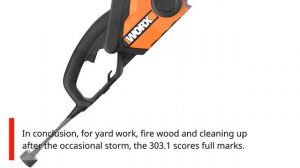Worx WG303.1 Review