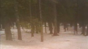 Catamenia - Dreams Of Winterland