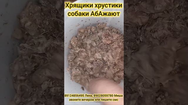 Кисломолочная каша с хрустиками и колбасой
#еда #собаки #приют #помощь #содержание #крупа #каша