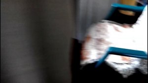 КАК ЗАКОНСЕРВИРОВАТЬ ЗЕЛЕНЫЙ ГОРОШЕК САМОМУ. ПОЛУЧАЕТСЯ ОЧЕНЬ ВКУСНО