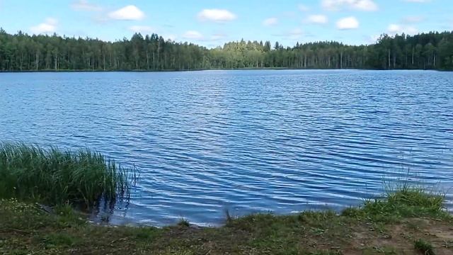 Сёмкинское озеро в Белозерском районе смотреть онлайн