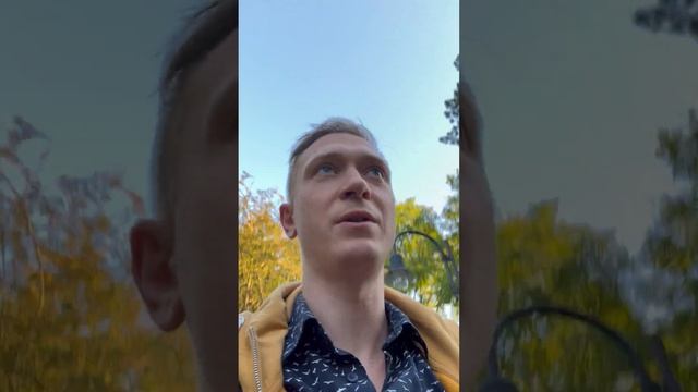 Немецкое налоговое чудо 2023 #германия