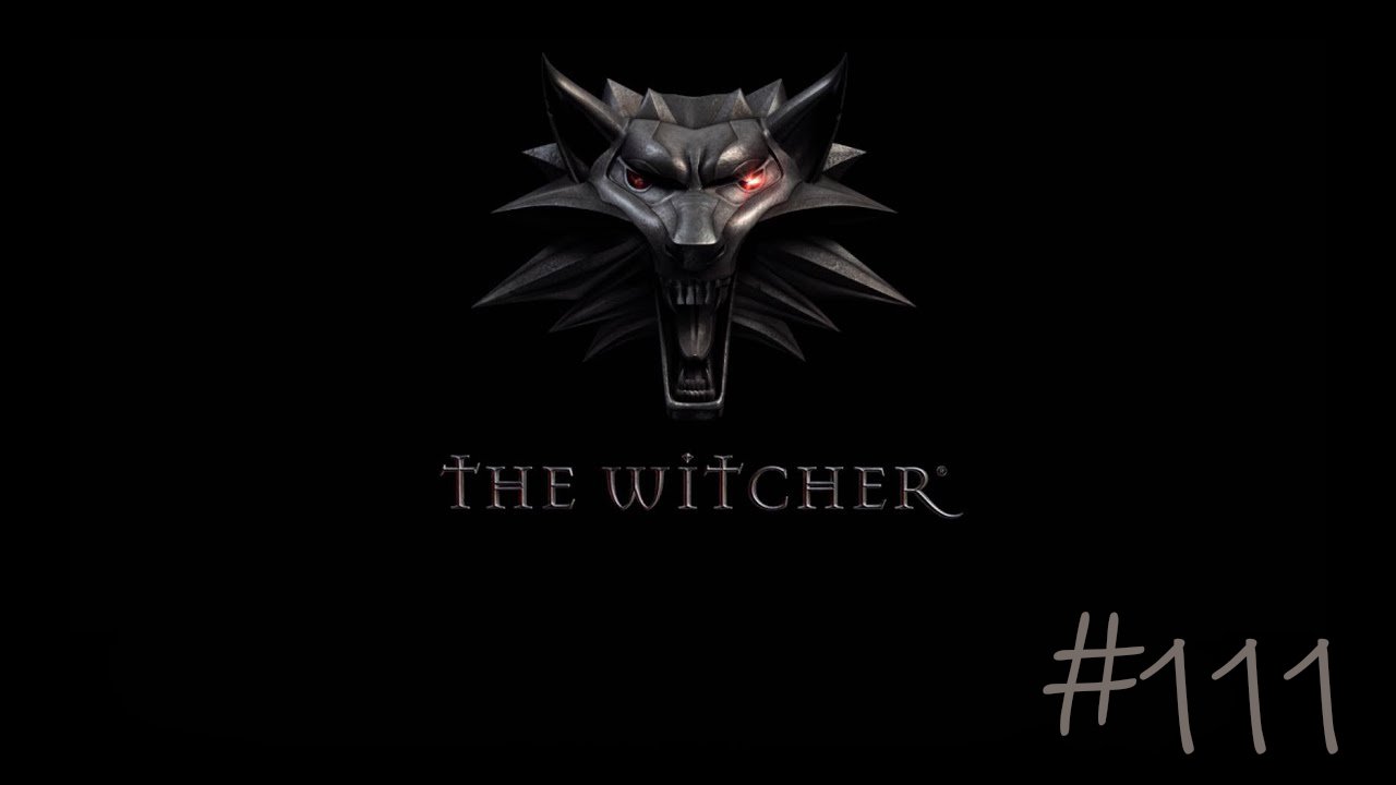 The Witcher #111