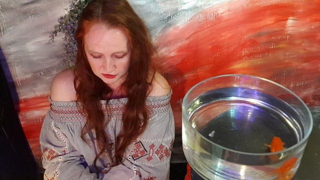 Панда смотреть онлайн