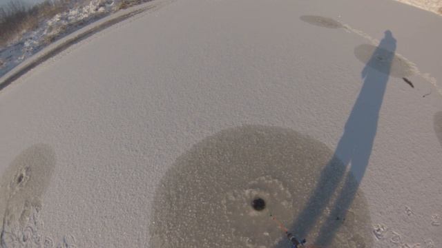 Открытие зимней рыбалки на балансир на щуку и окуня. Рыбалка по первому льду на реке Тоя на баланси смотреть онлайн