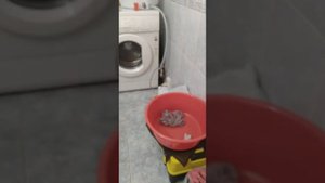Как работает работает отжим стиральной Машины(!)