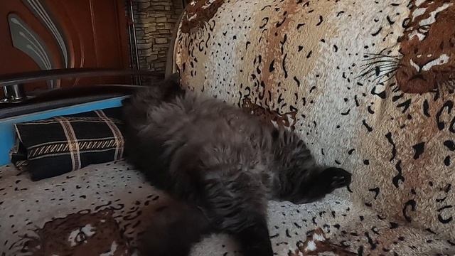 Очень крепкий сон. смотреть онлайн