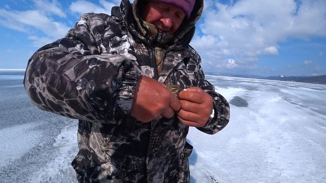 Листвянка омуль.