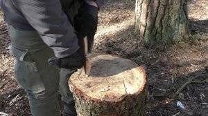 Нож WARRIOR Petrified Fish. Уличный тест