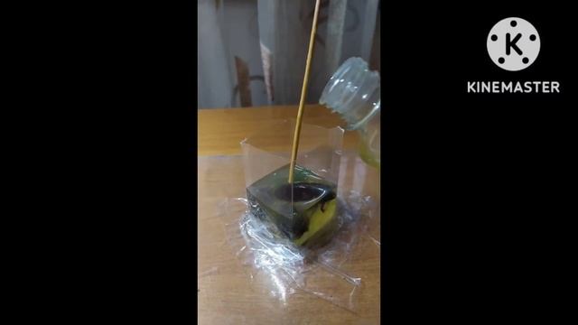 Жук в эпоксидной смоле смотреть онлайн