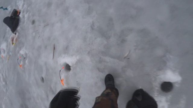 РЫБАЛКА НА КОРЮШКУ НА ФИНСКОМ ЗАЛИВЕ НА ДАМБЕ КОРЮШКА КЛЮЁТ ОДНА ЗА ОДНОЙ ТОЛЬКО УСПЕВАЙ ВЫТАСКИВАТ смотреть онлайн