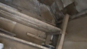 Чем обработать голубятню?