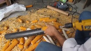Как чистят кукурузу