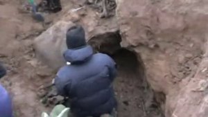 Сычевка 2010