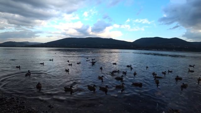 ВЛОГ: МУЖ НАЕХАЛ, ЧТО Я ЕМУ НЕ ГОТОВЛЮ смотреть онлайн