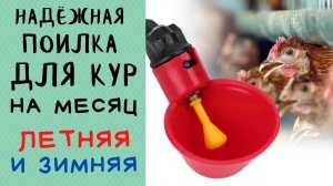 Автономная поилка для кур на месяц!!! Как сделать поилку для птиц