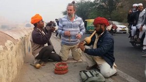 Кобра Индия