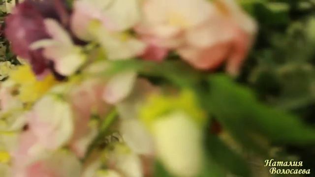 ТРЕНЕРСКИЕ ФИШКИ. 27. Что делать, если участники тренинга хотят чего-то нового
