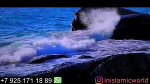 А ВЫ ЗНАЕТЕ КАКИХ ПТИЦ НЕЛЬЗЯ КУШАТЬ МУСУЛЬМАНАМ!? УЗНАЙТЕ!